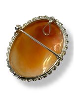 Brooch Mandile 1922 Woman Cammei  in Silver Conchiglia 2MSPC20 - 2MSPC20